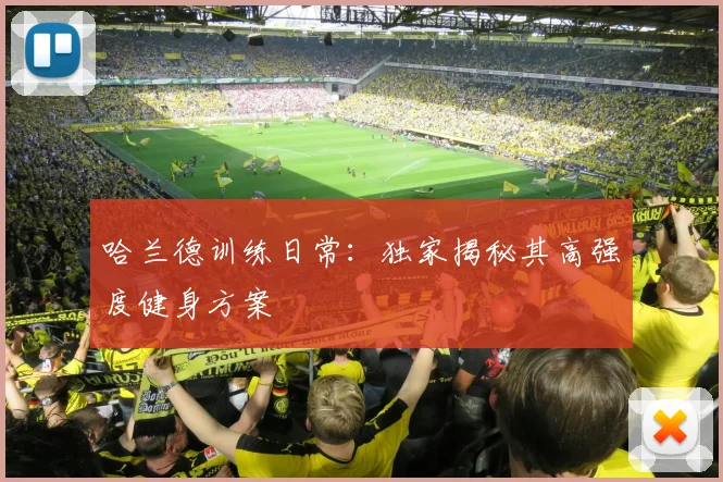 哈兰德训练日常：独家揭秘其高强度健身方案