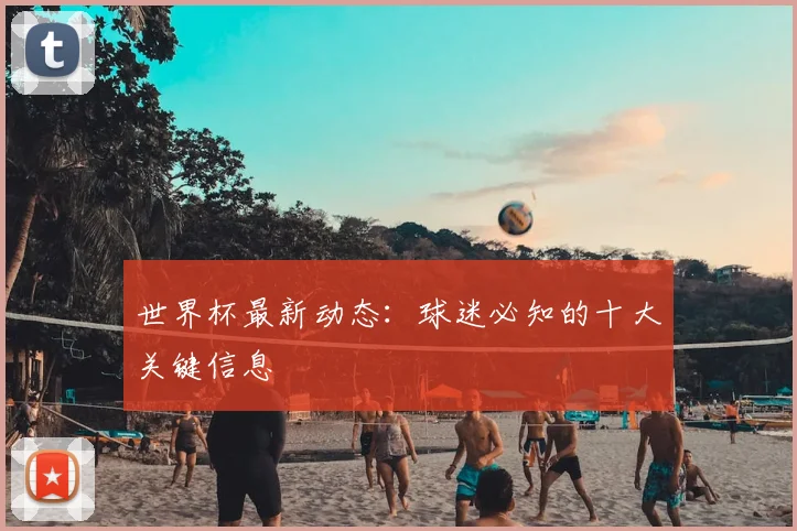 世界杯最新动态：球迷必知的十大关键信息