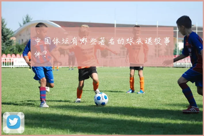 中国体坛有哪些著名的球衣退役事件?