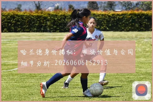 哈兰德身价揭秘：市场价值与合同细节分析_20260606152913